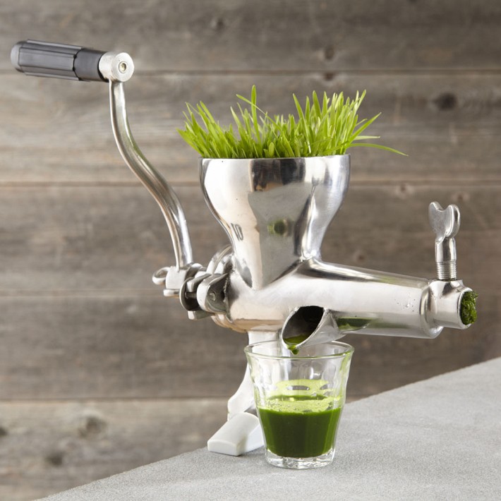 PrEparer un jus d herbe de blE sans extracteur de jus